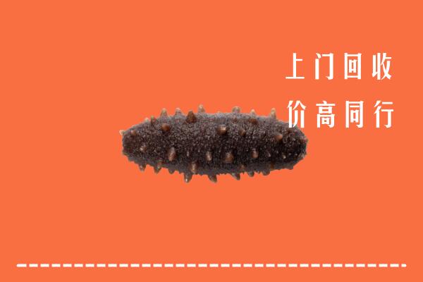 高价求购：法库县回收海参