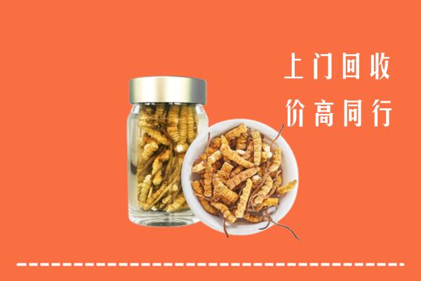 法库县回收冬虫夏草