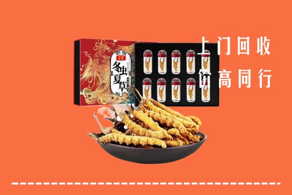 法库县回收虫草